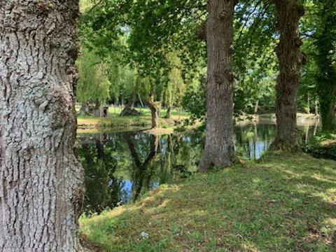 La Demeure Romantique Bazouges-sous-Hede エクステリア 写真