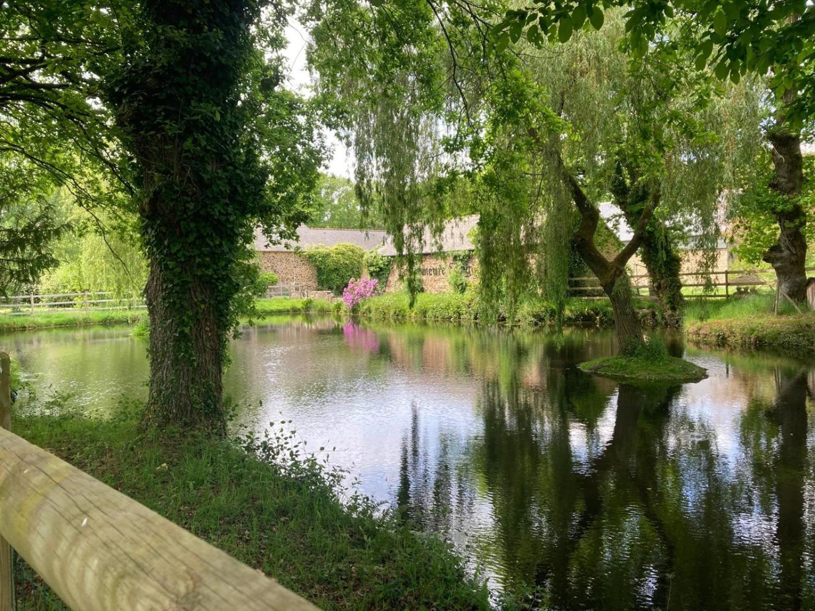 La Demeure Romantique Bazouges-sous-Hede エクステリア 写真