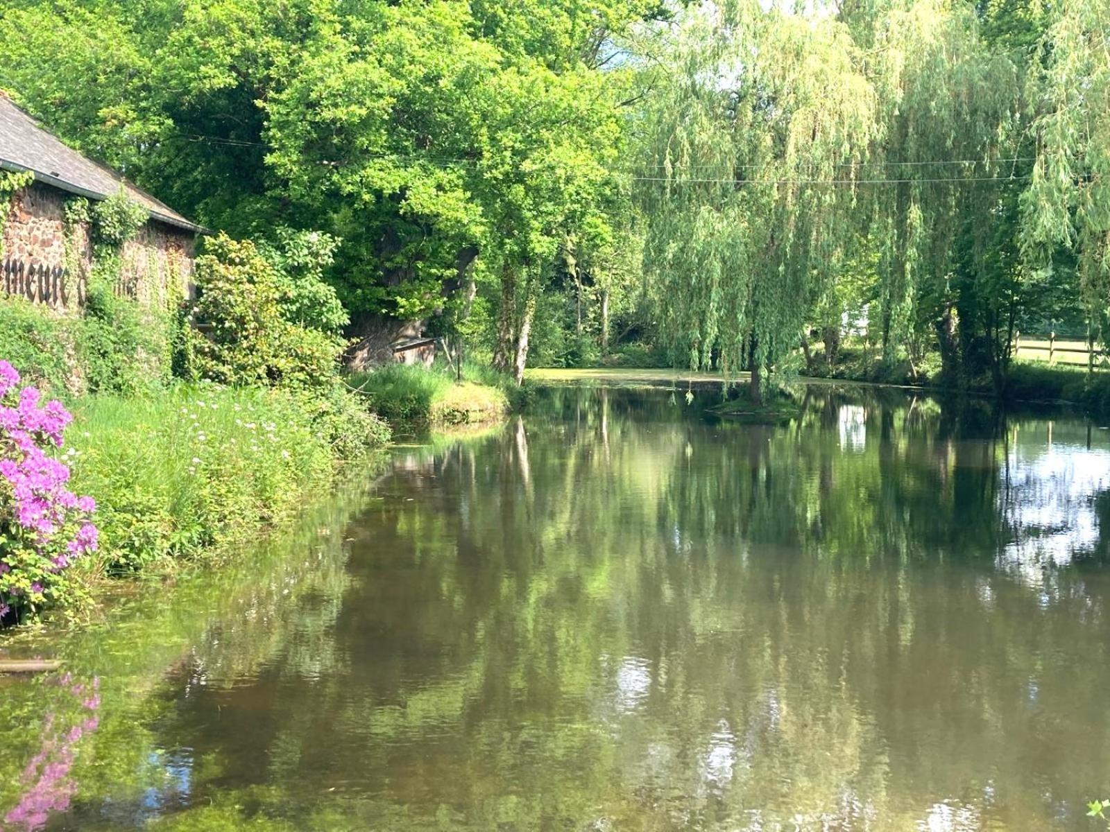 La Demeure Romantique Bazouges-sous-Hede エクステリア 写真